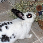 Melina - Update April 2007 - English Spot mix