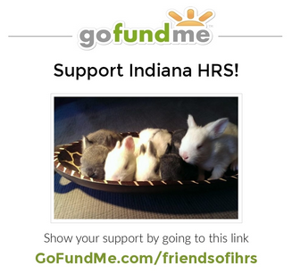 GoFundMe Indiana House Rabbit Society
