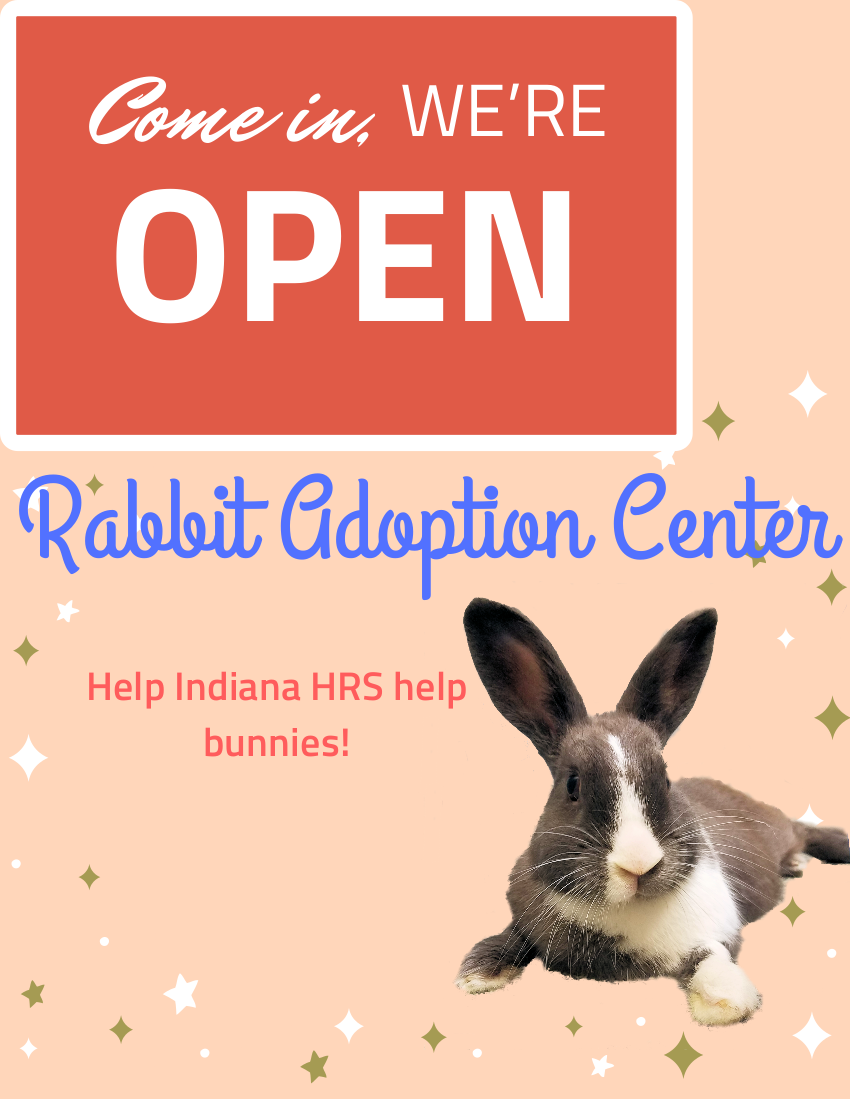 adoption center is open
